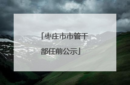 枣庄市市管干部任前公示