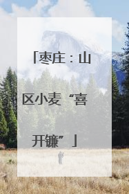 枣庄：山区小麦“喜开镰”