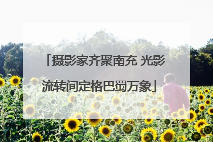 摄影家齐聚南充 光影流转间定格巴蜀万象