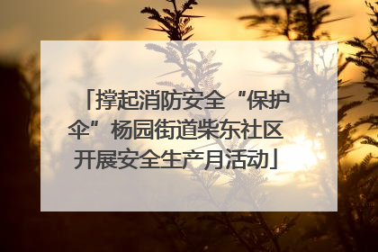 撑起消防安全“保护伞”杨园街道柴东社区开展安全生产月活动
