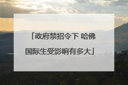 政府禁招令下 哈佛国际生受影响有多大