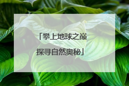 攀上地球之巅 探寻自然奥秘