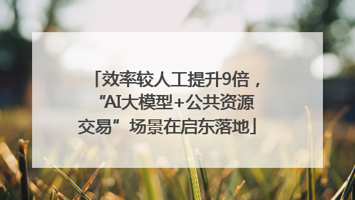 效率较人工提升9倍，“AI大模型+公共资源交易”场景在启东落地