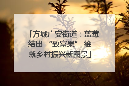 方城广安街道：蓝莓结出 “致富果” 绘就乡村振兴新图景