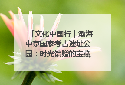 文化中国行｜渤海中京国家考古遗址公园：时光馈赠的宝藏 历史凝固的诗篇