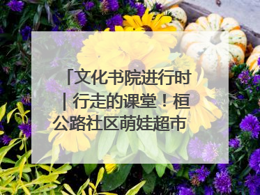 文化书院进行时｜行走的课堂！桓公路社区萌娃超市探索之旅