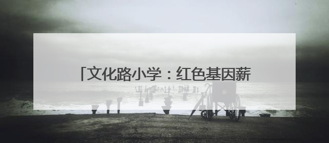 文化路小学：红色基因薪火传，榜样力量润童心