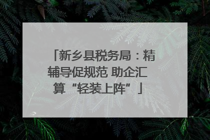 新乡县税务局：精辅导促规范 助企汇算“轻装上阵”