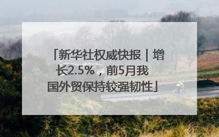 新华社权威快报｜增长2.5%，前5月我国外贸保持较强韧性