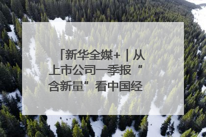新华全媒+｜从上市公司一季报“含新量”看中国经济发展向“新”