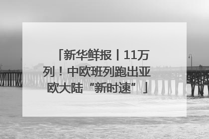 新华鲜报丨11万列！中欧班列跑出亚欧大陆“新时速”