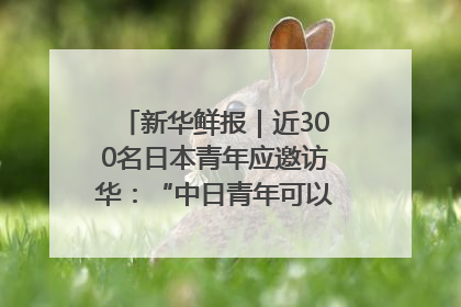 新华鲜报｜近300名日本青年应邀访华：“中日青年可以创造更好的未来”