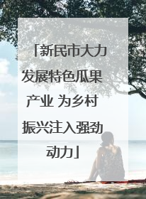 新民市大力发展特色瓜果产业 为乡村振兴注入强劲动力