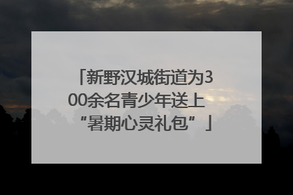 新野汉城街道为300余名青少年送上“暑期心灵礼包”