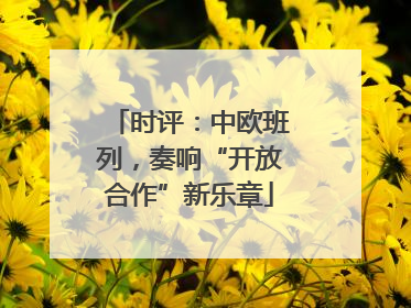 时评：中欧班列，奏响“开放合作”新乐章