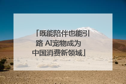 既能陪伴也能引路 AI宠物成为中国消费新领域