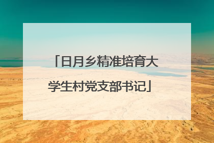 日月乡精准培育大学生村党支部书记