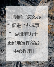 明确“怎么办”促进“办成事” 湖北着力于更好地发挥综治中心作用