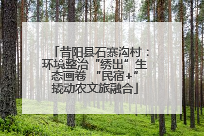 昔阳县石寨沟村：环境整治“绣出”生态画卷 “民宿+”撬动农文旅融合