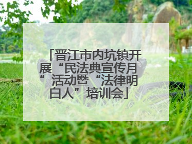 晋江市内坑镇开展“民法典宣传月”活动暨“法律明白人”培训会