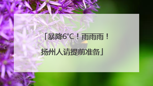 暴降6℃！雨雨雨！扬州人请提前准备