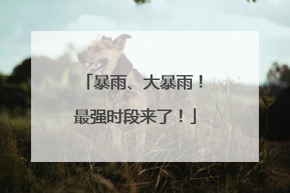 暴雨、大暴雨！最强时段来了！