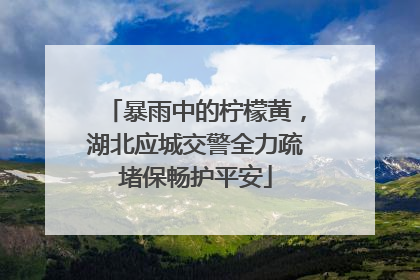暴雨中的柠檬黄，湖北应城交警全力疏堵保畅护平安