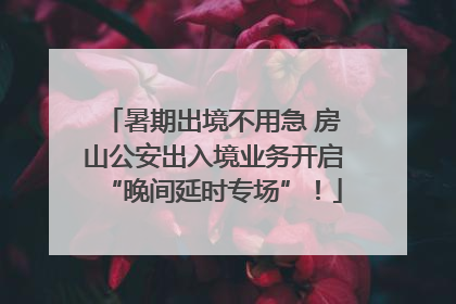 暑期出境不用急 房山公安出入境业务开启“晚间延时专场”！