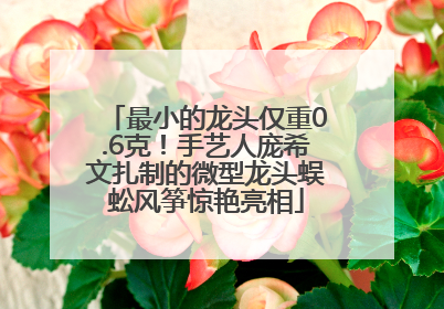 最小的龙头仅重0.6克！手艺人庞希文扎制的微型龙头蜈蚣风筝惊艳亮相