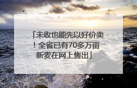 未收也能先以好价卖！全省已有70多万亩新麦在网上售出
