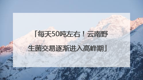每天50吨左右！云南野生菌交易逐渐进入高峰期