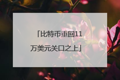 比特币重回11万美元关口之上