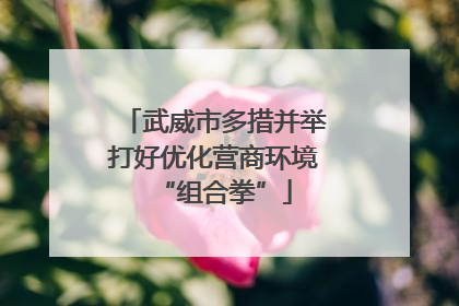武威市多措并举打好优化营商环境“组合拳”