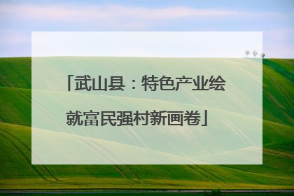 武山县：特色产业绘就富民强村新画卷