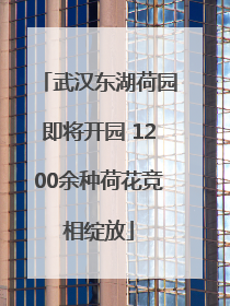 武汉东湖荷园即将开园 1200余种荷花竞相绽放