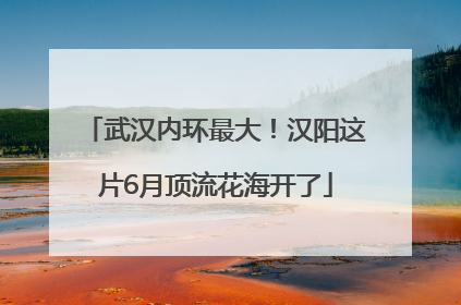 武汉内环最大！汉阳这片6月顶流花海开了