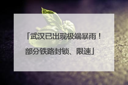 武汉已出现极端暴雨！部分铁路封锁、限速