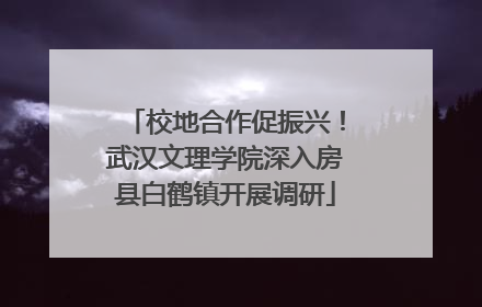 校地合作促振兴！武汉文理学院深入房县白鹤镇开展调研