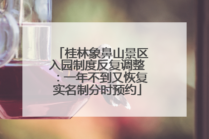桂林象鼻山景区入园制度反复调整：一年不到又恢复实名制分时预约