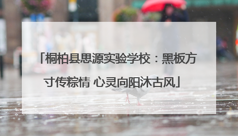 桐柏县思源实验学校：黑板方寸传粽情 心灵向阳沐古风