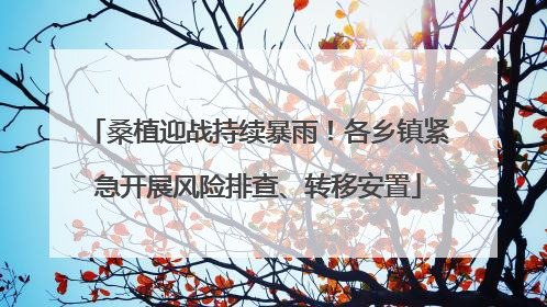 桑植迎战持续暴雨！各乡镇紧急开展风险排查、转移安置