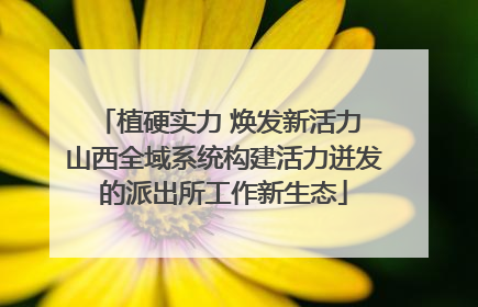 植硬实力 焕发新活力 山西全域系统构建活力迸发的派出所工作新生态