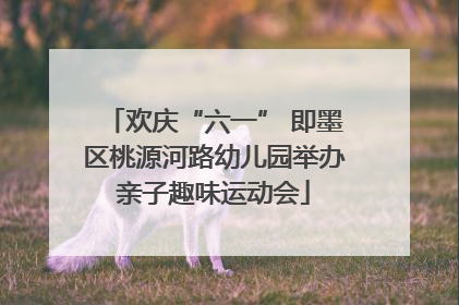 欢庆“六一” 即墨区桃源河路幼儿园举办亲子趣味运动会