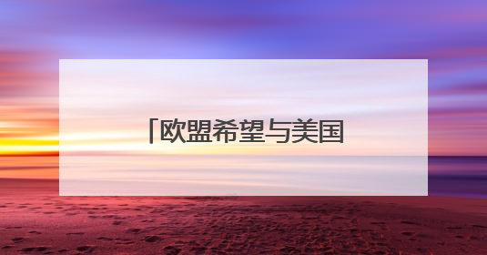 欧盟希望与美国达成“原则性协议”，未来贸易谈判有哪些难点？