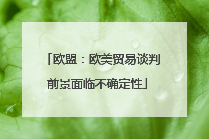 欧盟：欧美贸易谈判前景面临不确定性
