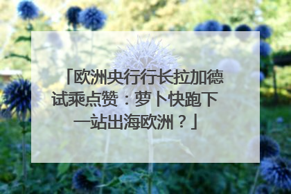 欧洲央行行长拉加德试乘点赞：萝卜快跑下一站出海欧洲？