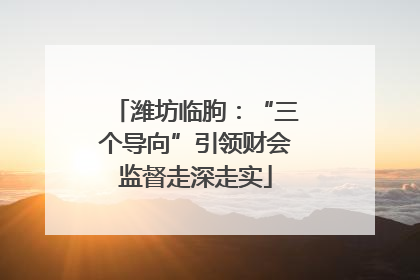 潍坊临朐：“三个导向”引领财会监督走深走实