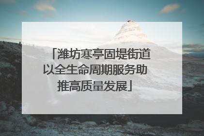 潍坊寒亭固堤街道以全生命周期服务助推高质量发展