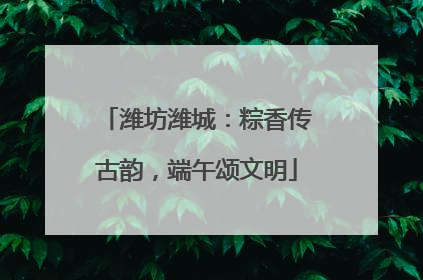 潍坊潍城：粽香传古韵，端午颂文明