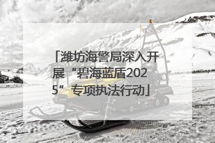 潍坊海警局深入开展“碧海蓝盾2025”专项执法行动